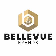 Elvis Presley Forever by Bellevue Brands Eau De Parfum Spray 3.4 oz For Men